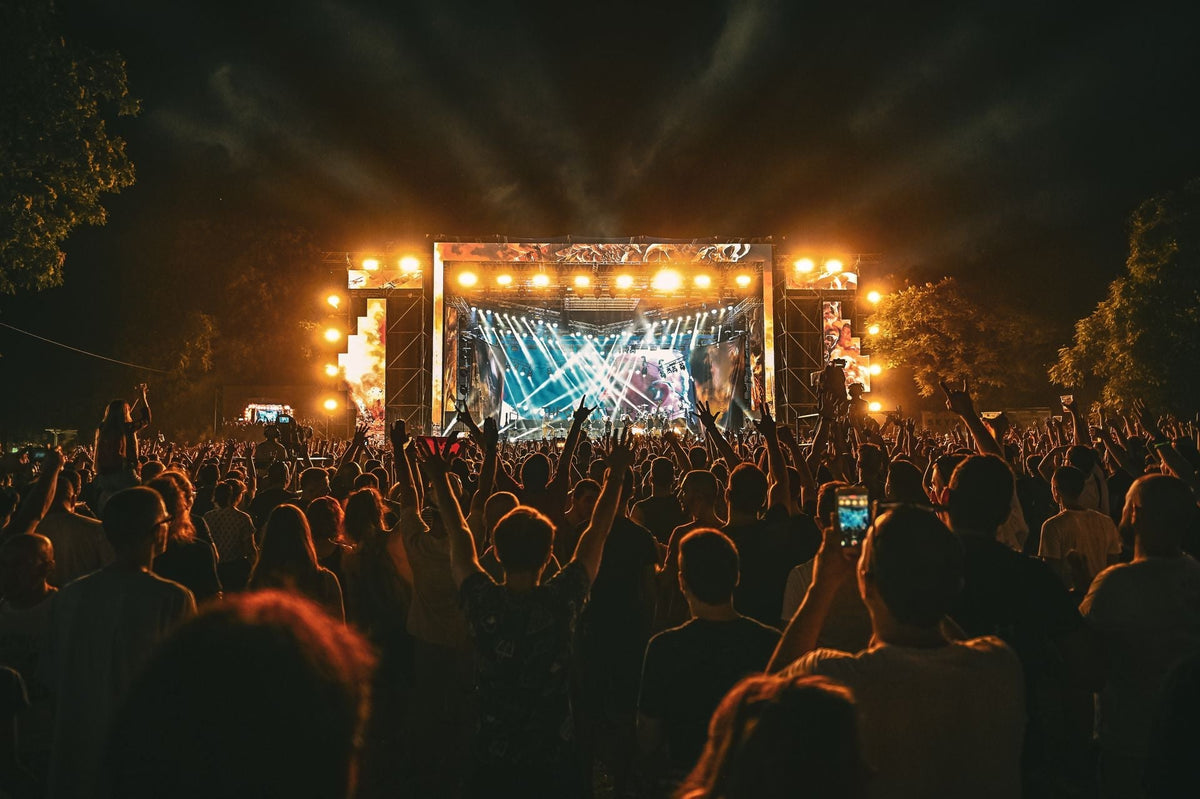 A music festival audience